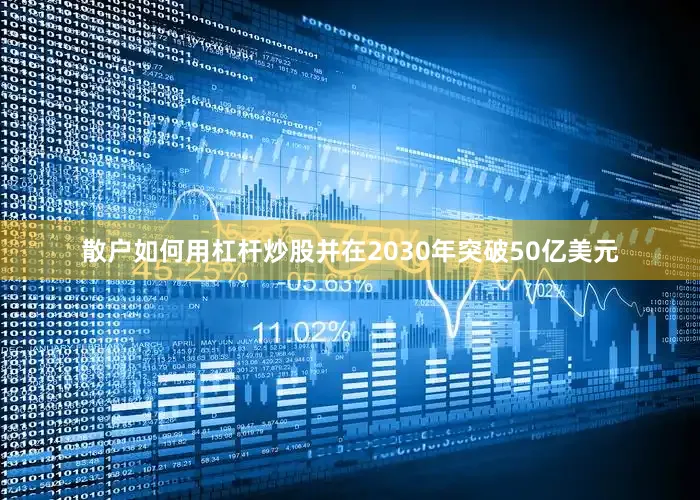 散户如何用杠杆炒股并在2030年突破50亿美元