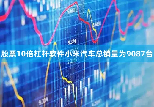 股票10倍杠杆软件小米汽车总销量为9087台