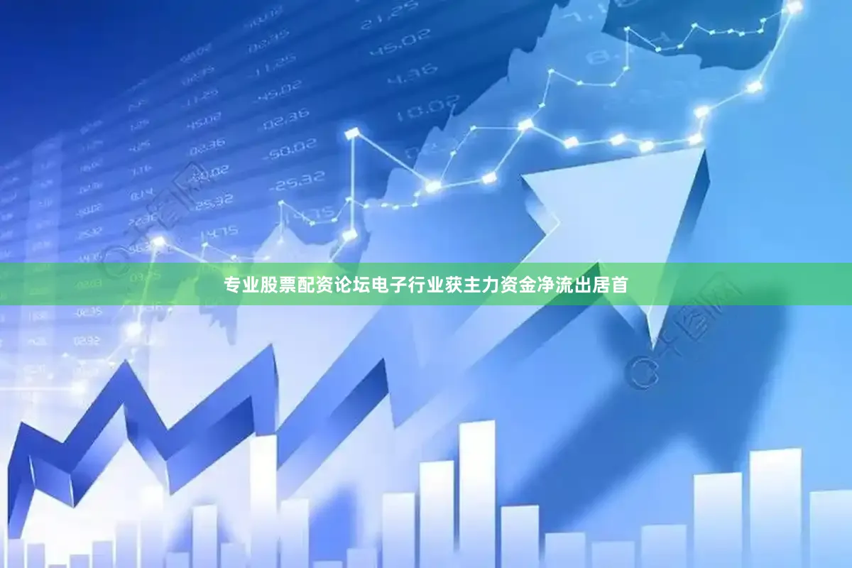专业股票配资论坛电子行业获主力资金净流出居首