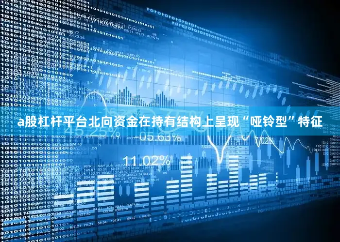 a股杠杆平台北向资金在持有结构上呈现“哑铃型”特征