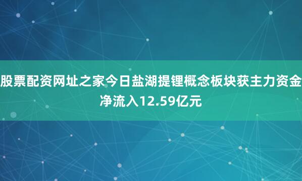 股票配资网址之家今日盐湖提锂概念板块获主力资金净流入12.59亿元