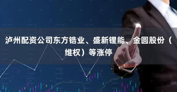 泸州配资公司东方锆业、盛新锂能、金圆股份（维权）等涨停