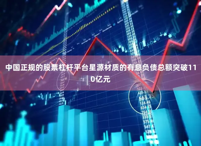 中国正规的股票杠杆平台星源材质的有息负债总额突破110亿元
