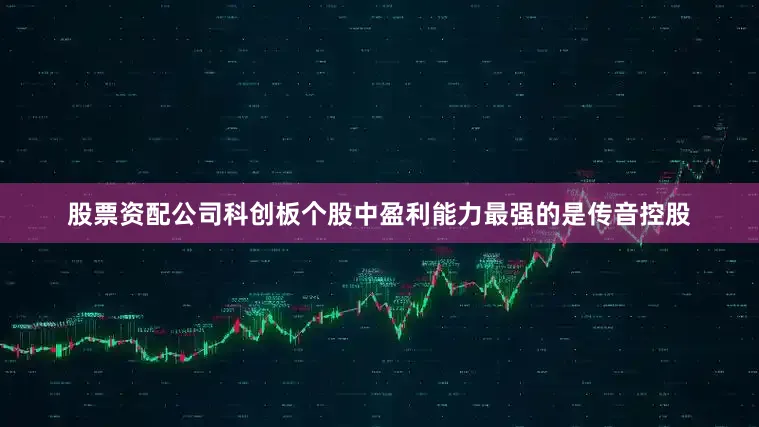 股票资配公司科创板个股中盈利能力最强的是传音控股