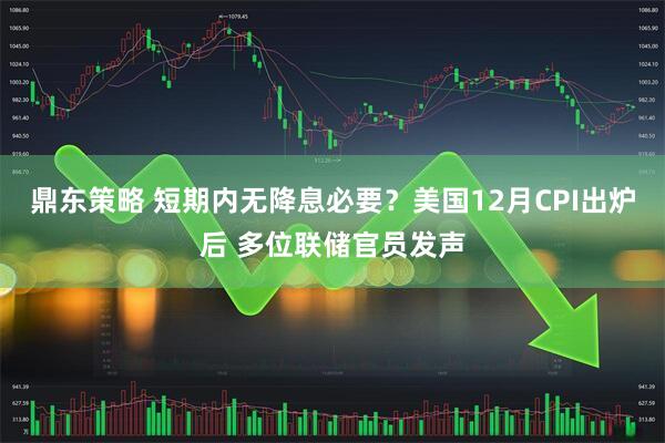 鼎东策略 短期内无降息必要？美国12月CPI出炉后 多位联储官员发声